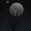 jana.hamdy984