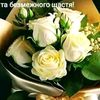 user37228200470593