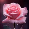 omo.al.mehdi