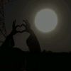 mona.ahmed312