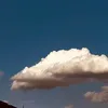 convlib.ali