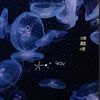 jellyfish_286