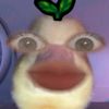 auna.auna74