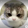 duda_22364