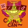 catnap_035