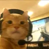 nico0o_o0