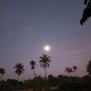 supardi4574