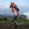 ifardha27