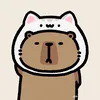 _koi_2112