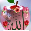 user5015603416143