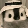 penguin.1038
