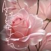 aisyah_8791