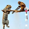 ngoc.trung84