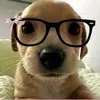 kenzogregquijano
