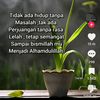 user178998107