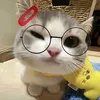 ur_cel38