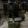mersik_bulldog