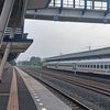 vielerep