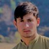 naimat.ullah8213