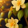 ismail.hamed45