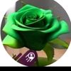 mestselena786