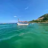 slinhdethw