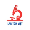 Lab Tôm Việt