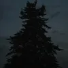 y0u_51f