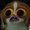 niki_16514
