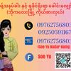 soe.yu229
