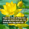 .thah7777
