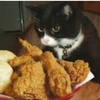 sussycateatingchicken