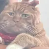 thefreakyhamster