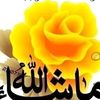 shita.naamu