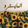 el_maistrou_dz44