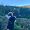 hngphtv50