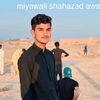 malik.shahazad31