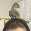 echo.and.me