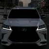aliev_boss4