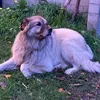 willi3859
