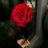 nadoosh8956