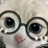 hellokittyy797