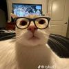 zixuan_27x_29_835_826