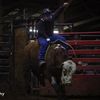 bullridersmomma