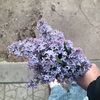 onyxxxx.14.ex