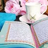 sa__b23.rn
