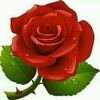 user1061341278481