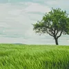 mo8o18