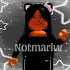 not_mariw