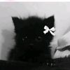 darkness_hi0